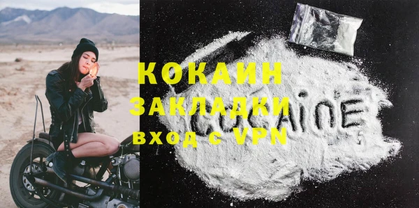 крисы Дмитриев