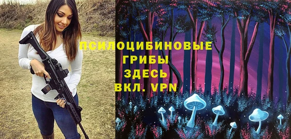 крисы Дмитриев