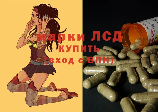 крисы Дмитриев