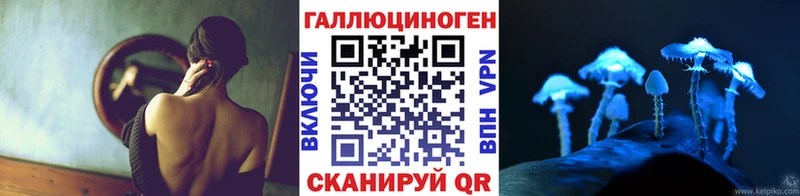 Галлюциногенные грибы Psilocybe  закладки  Ершов 